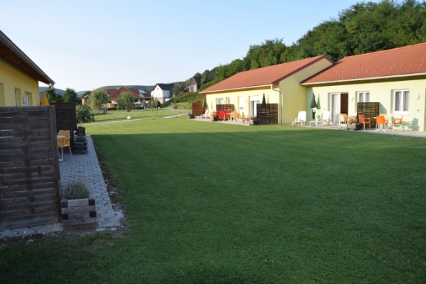 image2875